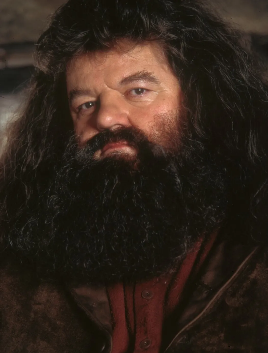 Robbie Coltrane ako Hagrid v Harrym Potterovi.