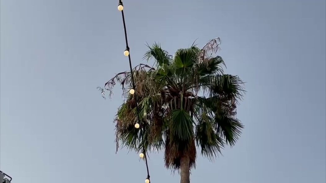 Zásah vo vile na Love Island