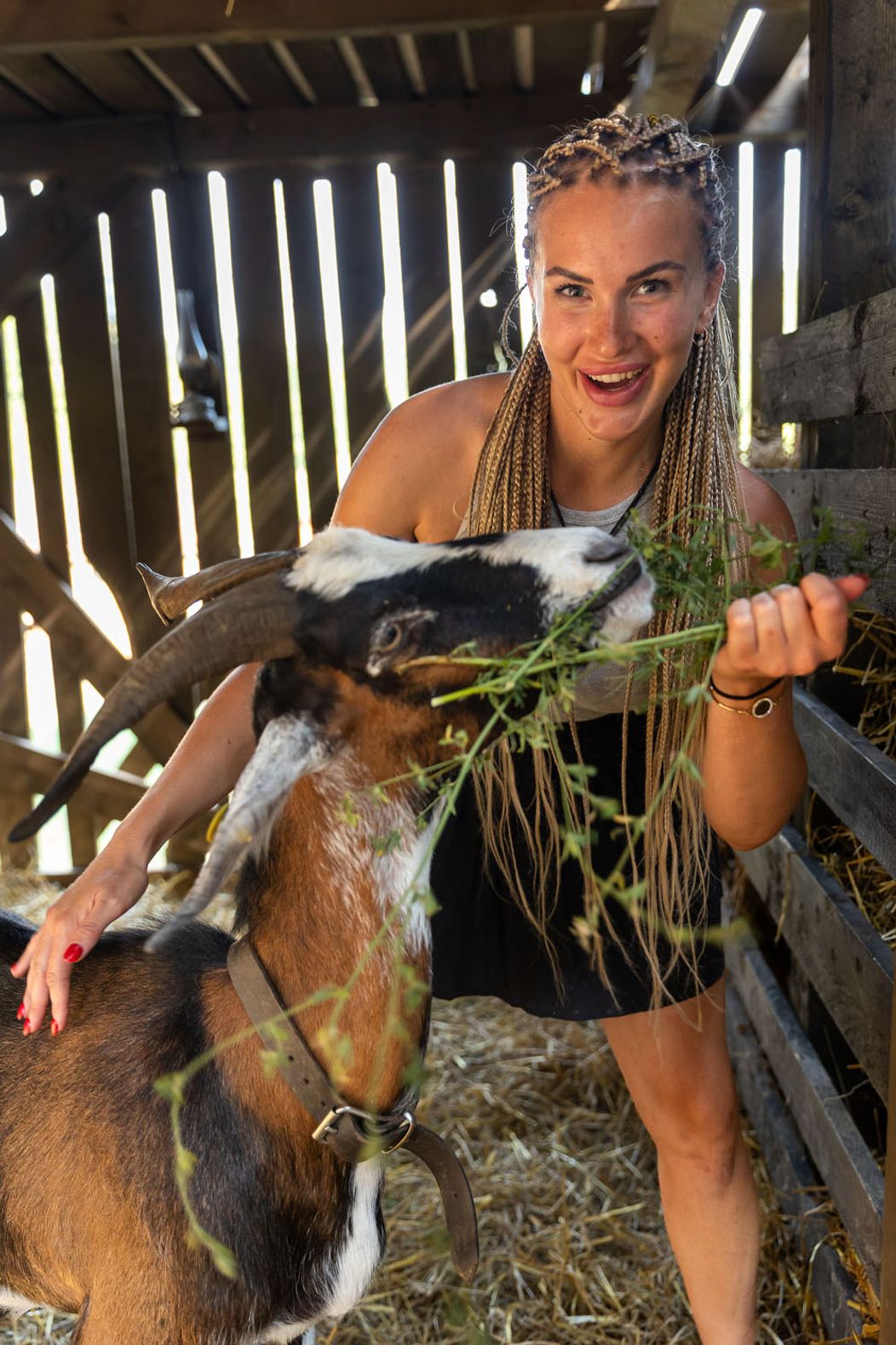 Zábery z 13. epizódy Farmy