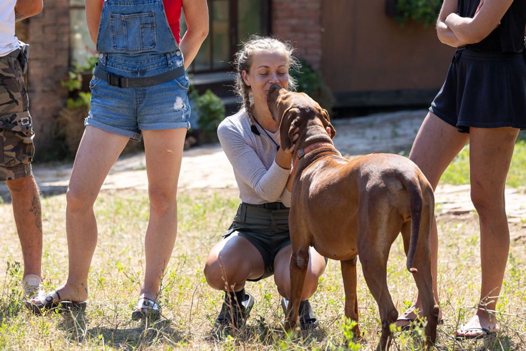 Zábery z 10 epizódy 16. série Farmy