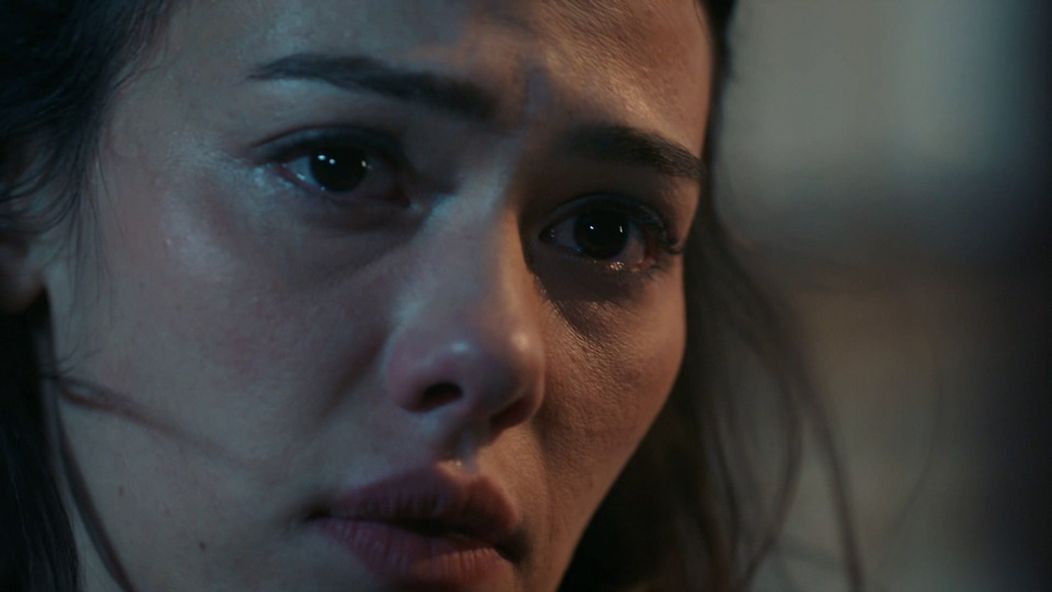 Zachránené životy