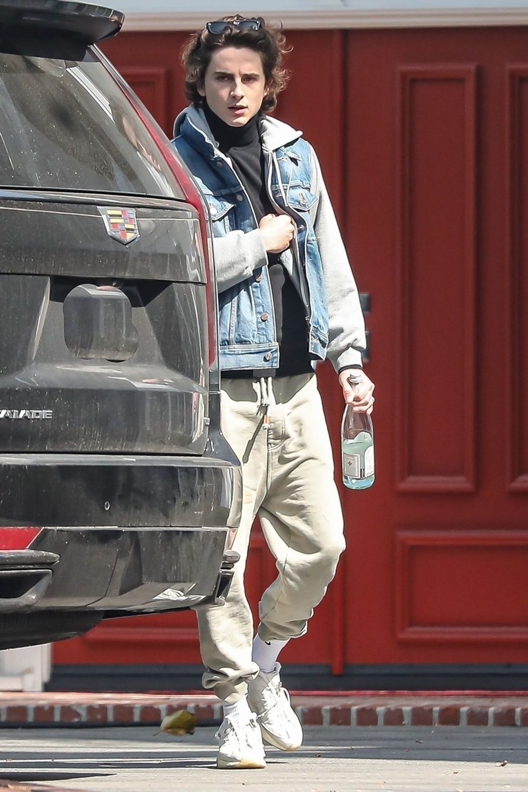 Kylie Jenner a Timothée Hal Chalamet