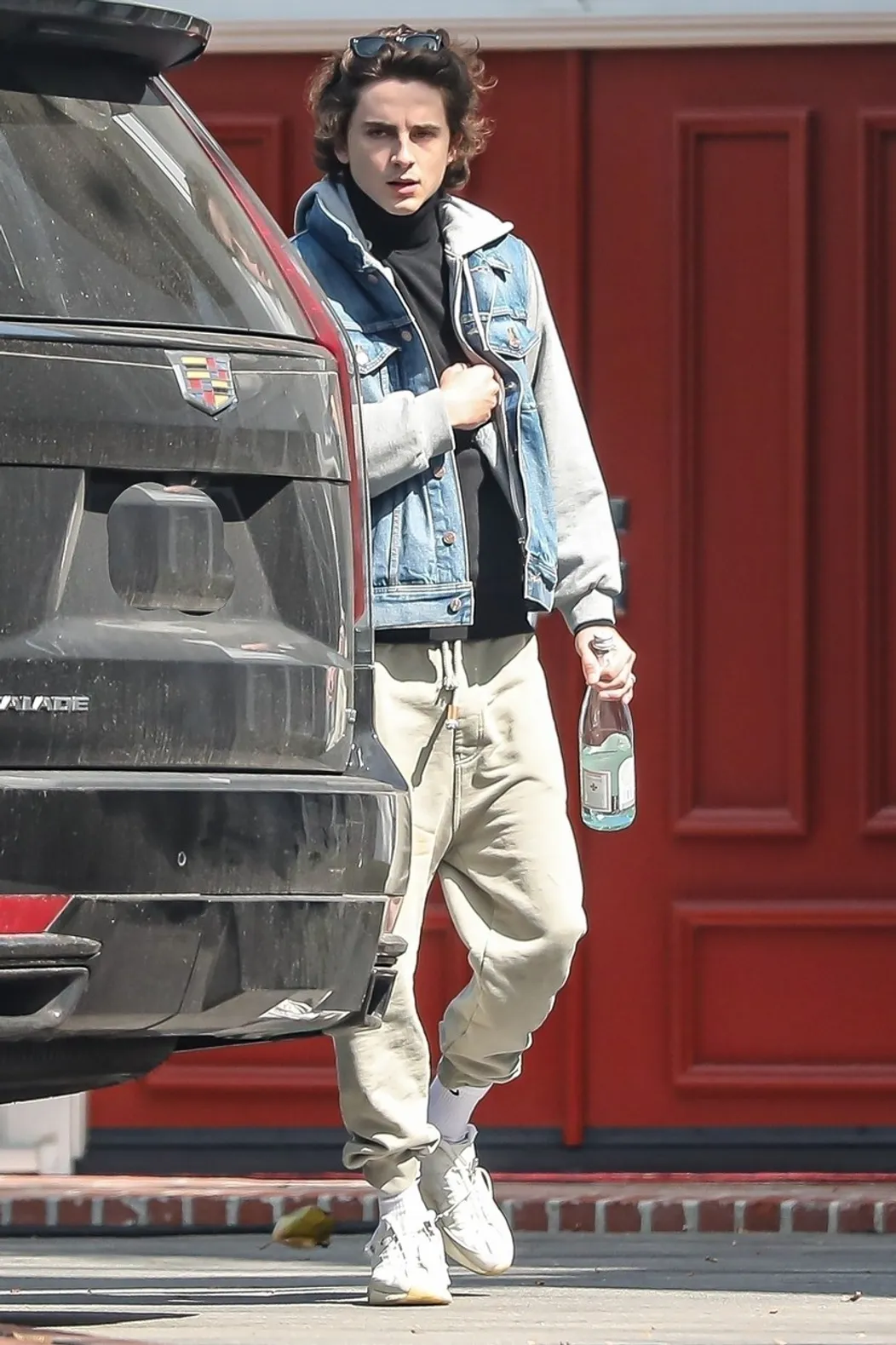 Kylie Jenner a Timothée Hal Chalamet
