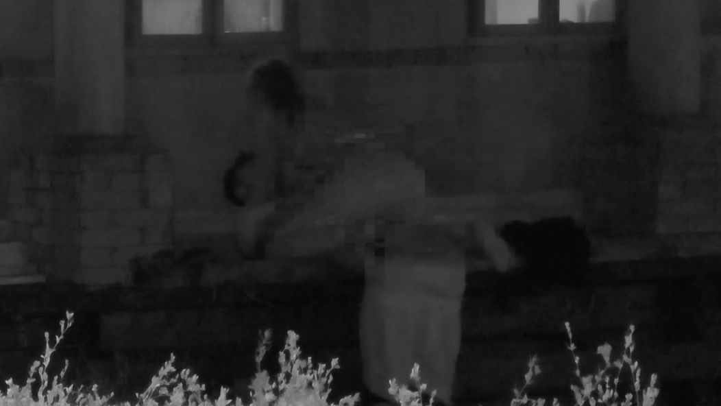 Lenka a Matúš si na Farme užili vášnivú noc