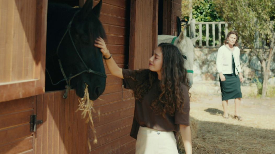 Veľvyslancova dcéra