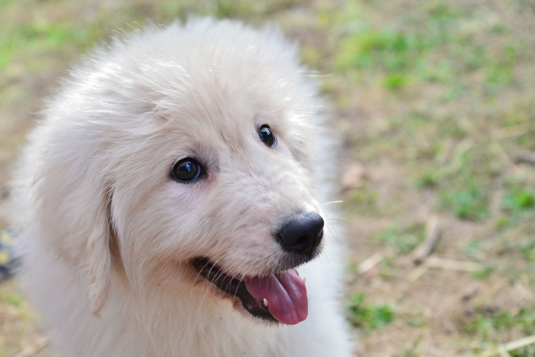 Láska na druhý pokus 2: 79. epizóda