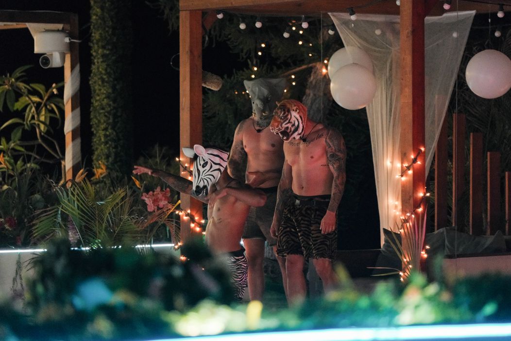 Do vily prišli traja noví bombshellovia.