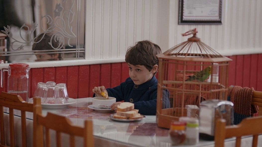 Zachránené životy