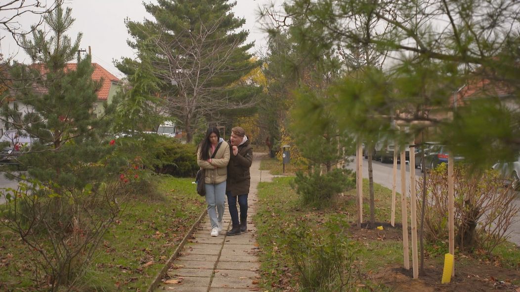 Luky má výčitky, že spôsobil Tao opicu.