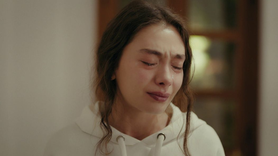 Veľvyslancova dcéra