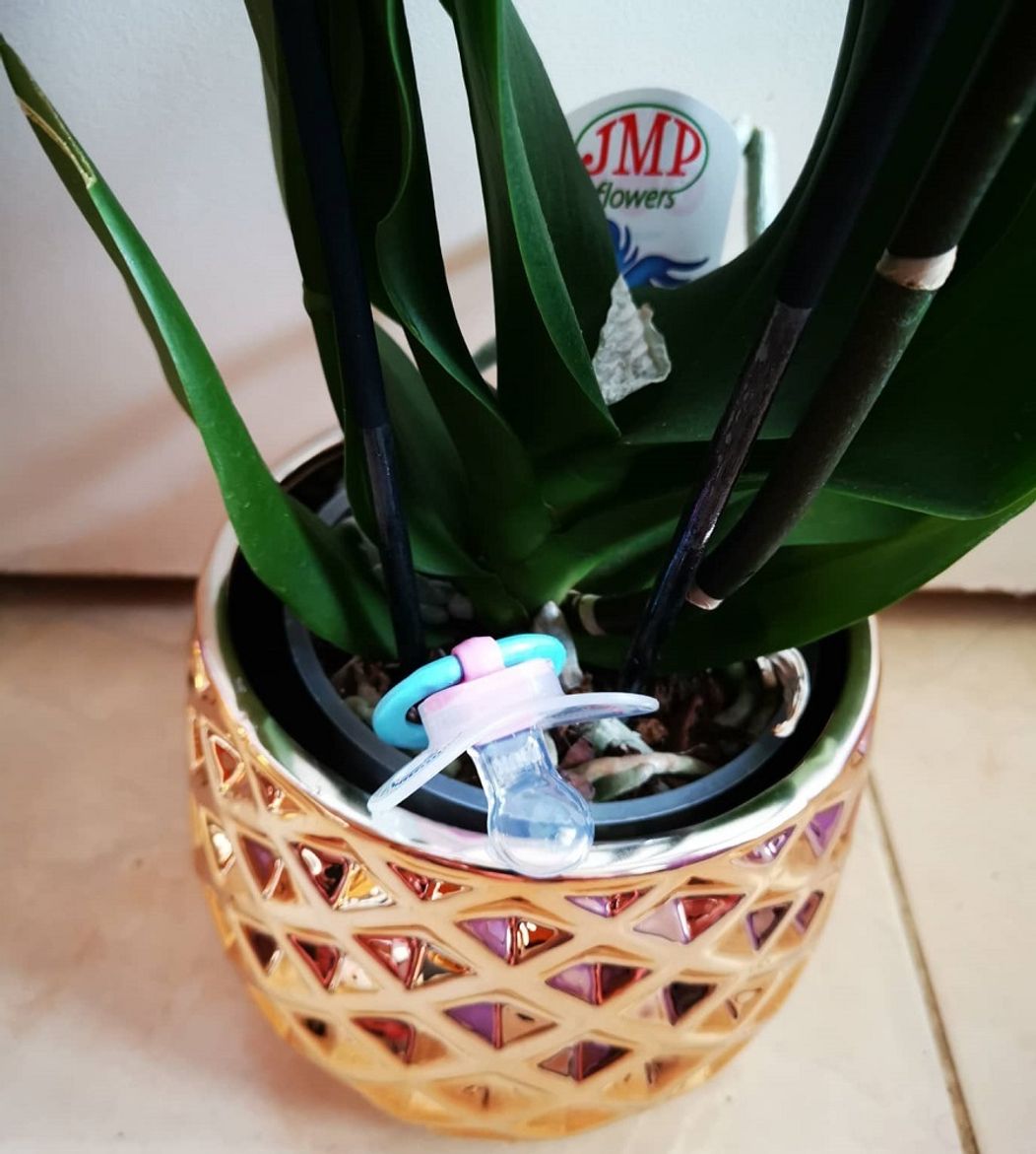 Luciin syn Vlado s priateľkou