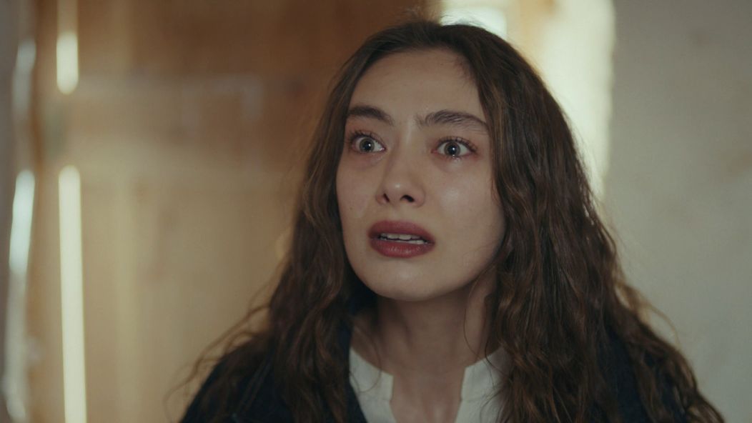 Veľvyslancova dcéra