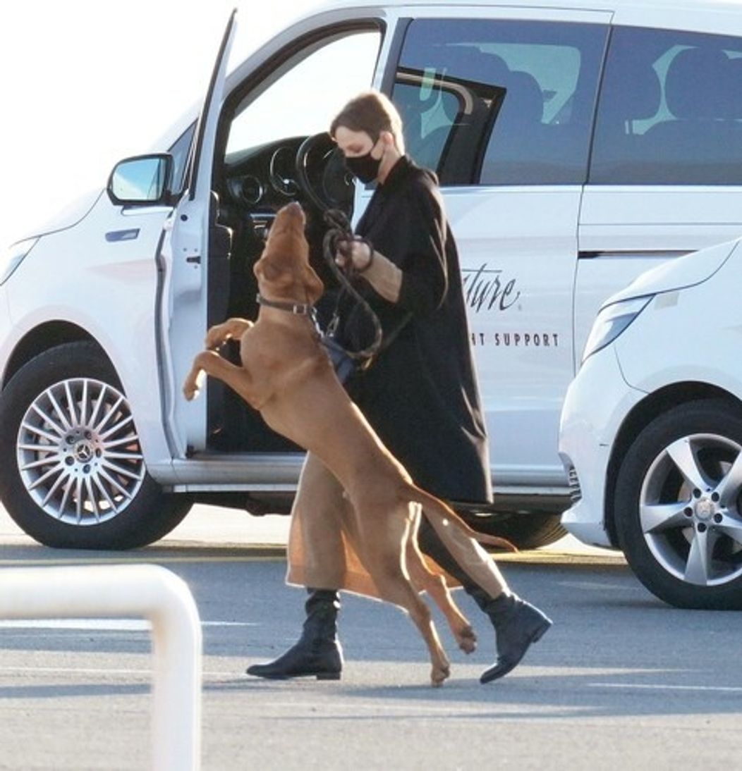 Princezná Charlene je doma!
