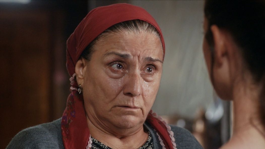 Zachránené životy