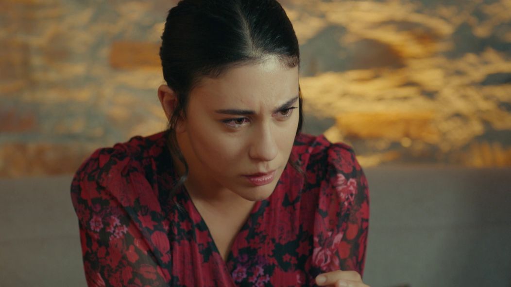 Veľvyslancova dcéra