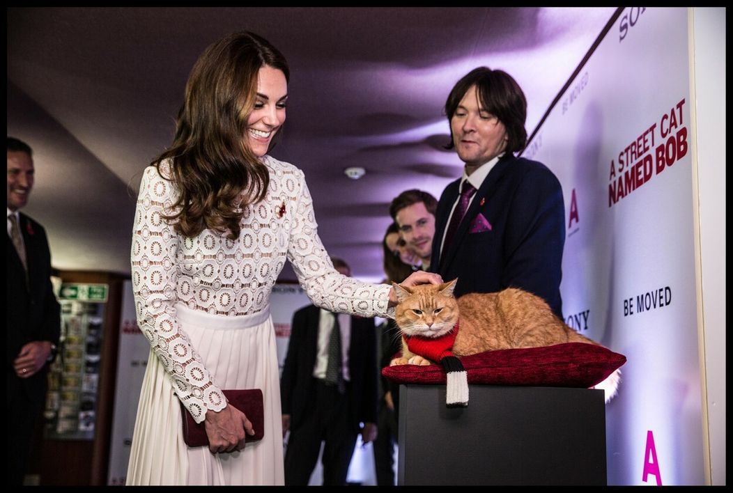 Vojvodkyňa Kate na premiére filmu Kocúr Bob