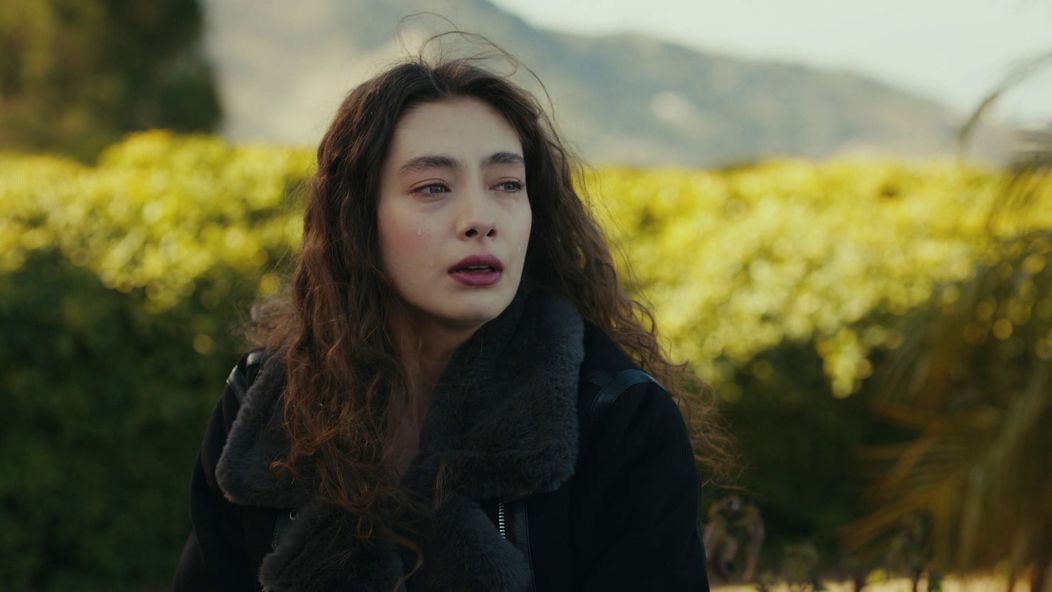 Veľvyslancova dcéra