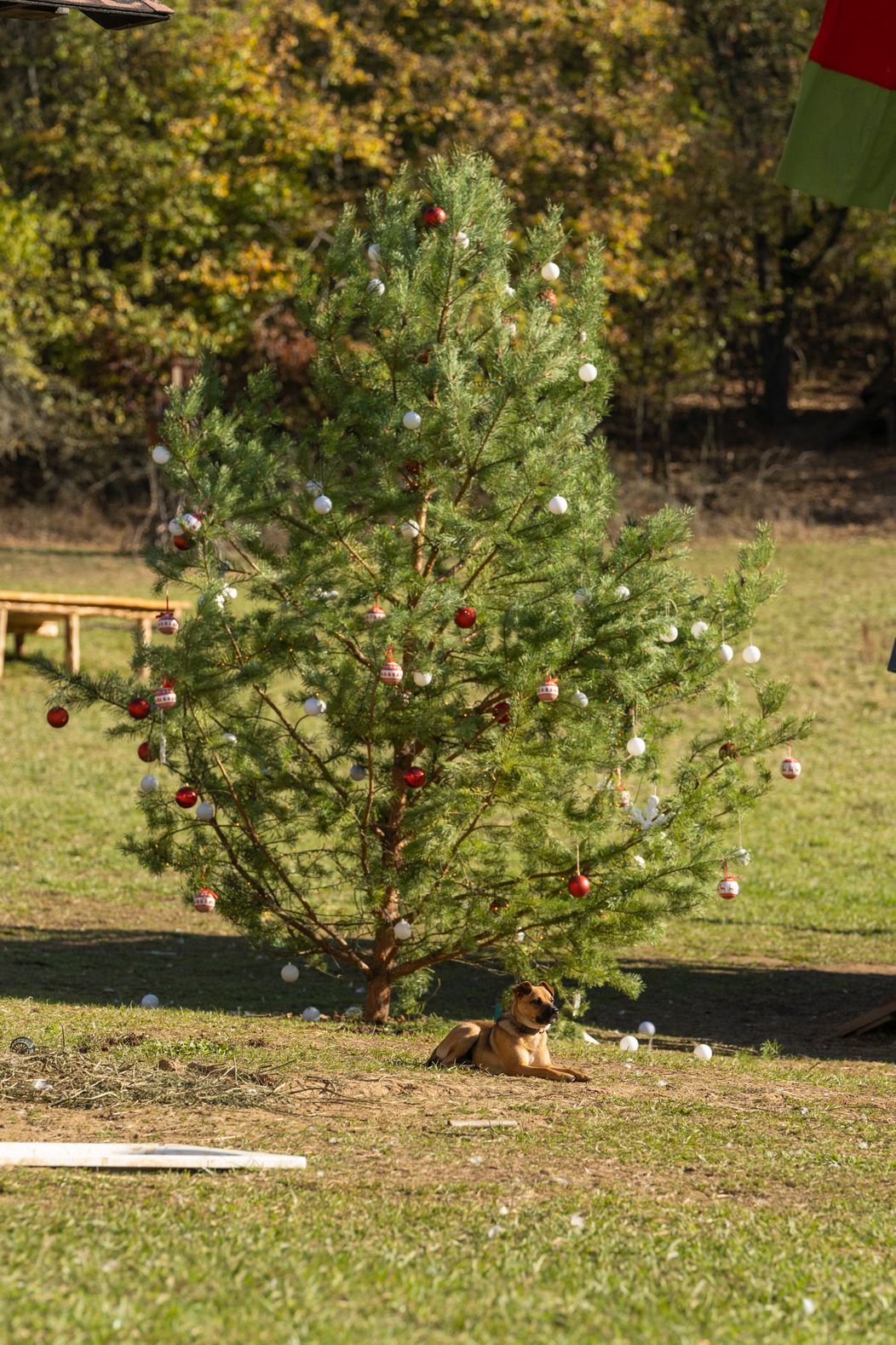 Predposledný deň na Farme
