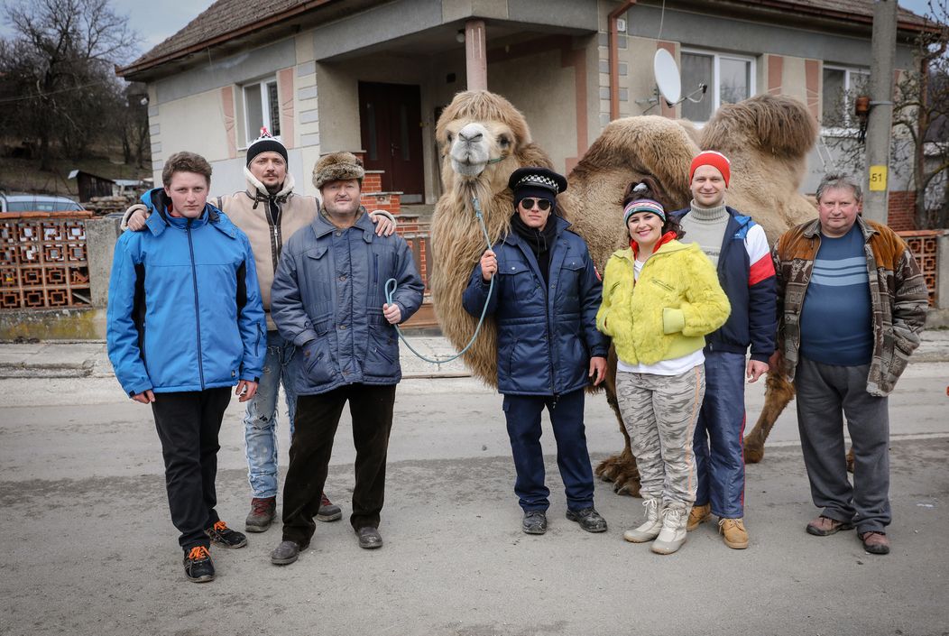 Ťaviak Ali v Hornej Dolnej