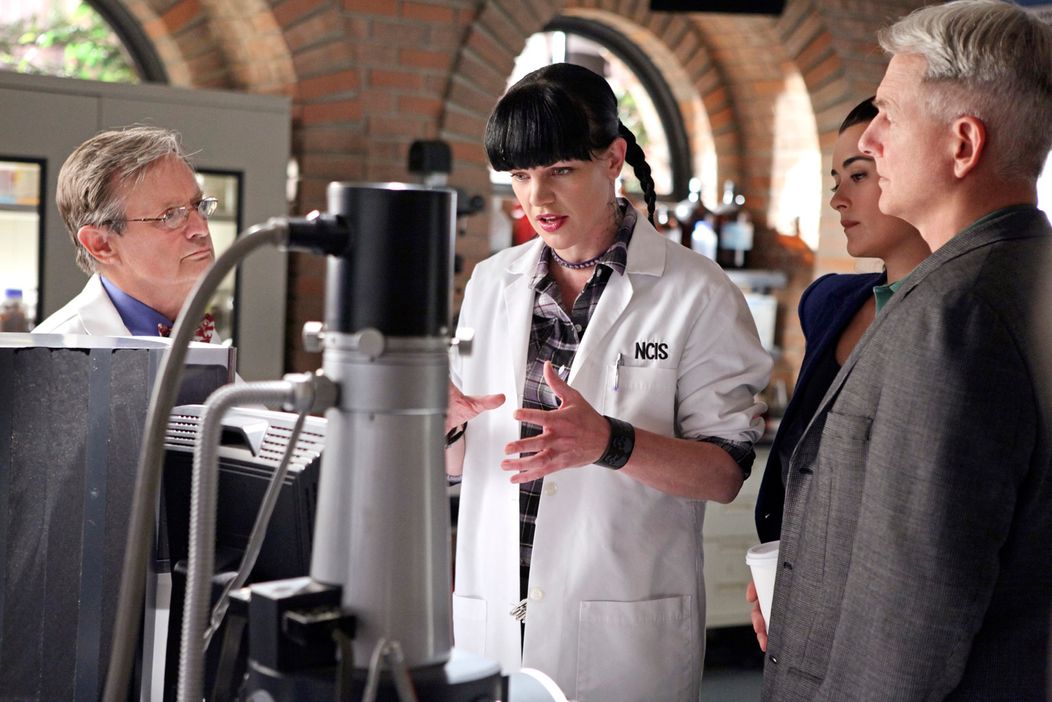 Pauley Perrette alias Abby z NCIS