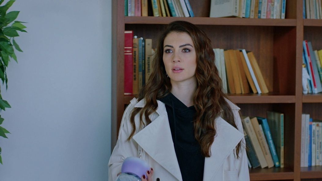 Láska, rozum, pomsta