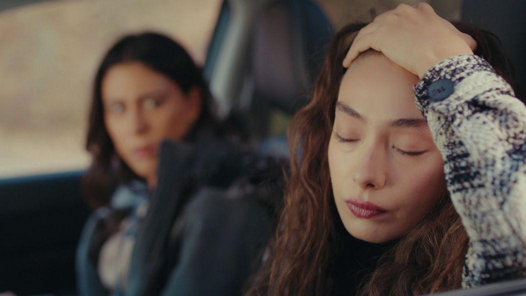 Veľvyslancova dcéra