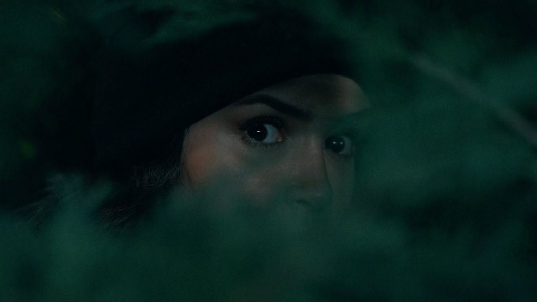 Láska, rozum, pomsta