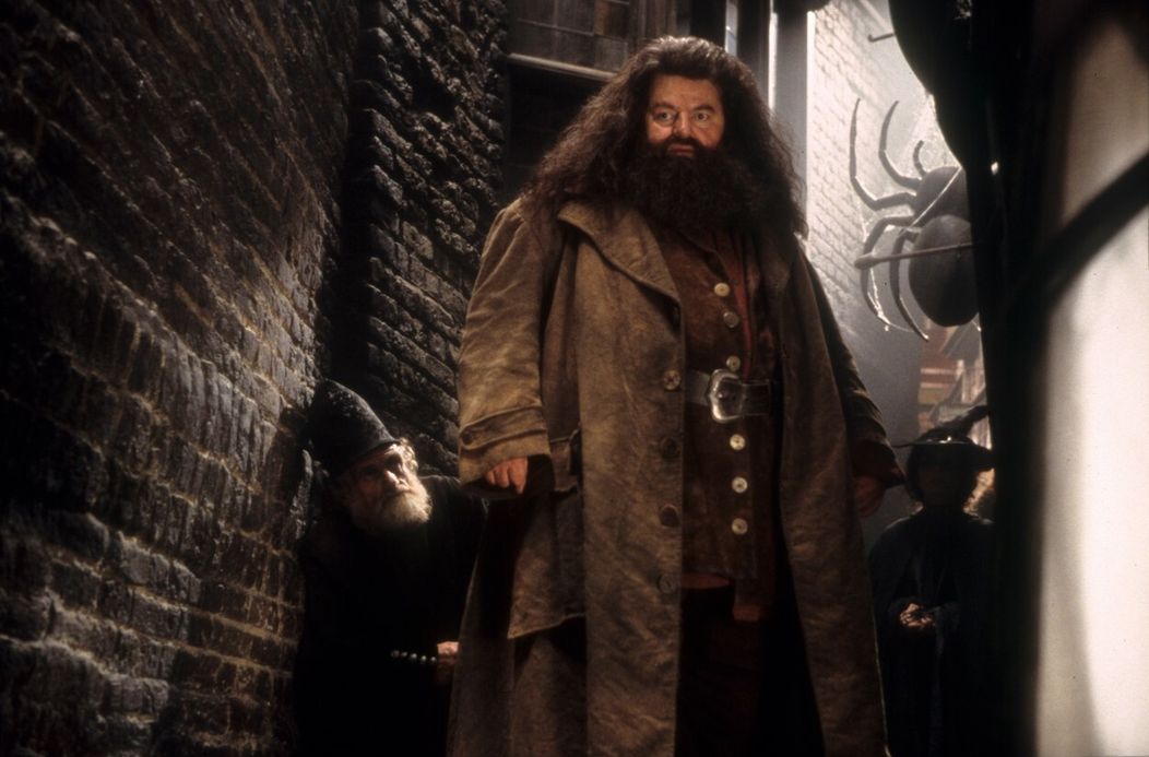 Robbie Coltrane ako Hagrid v Harrym Potterovi.