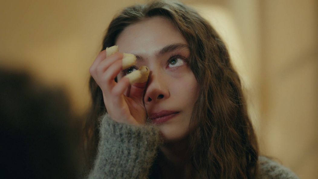 Veľvyslancova dcéra