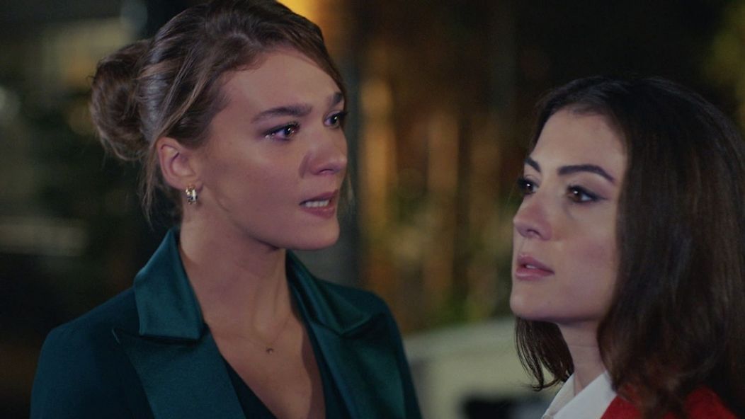 Láska, rozum, pomsta