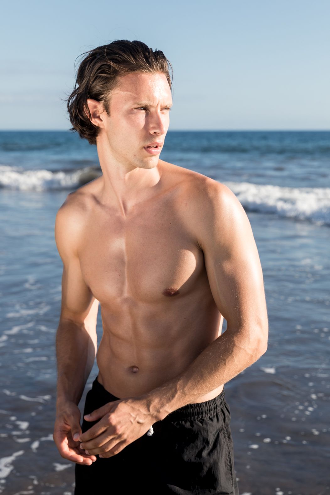 Model Petr