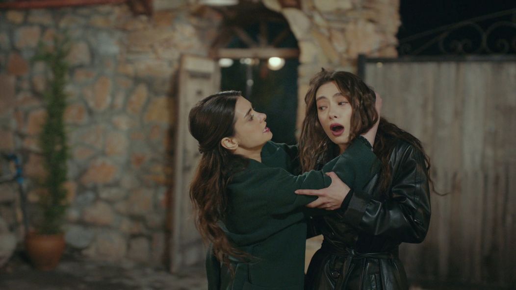 Veľvyslancova dcéra