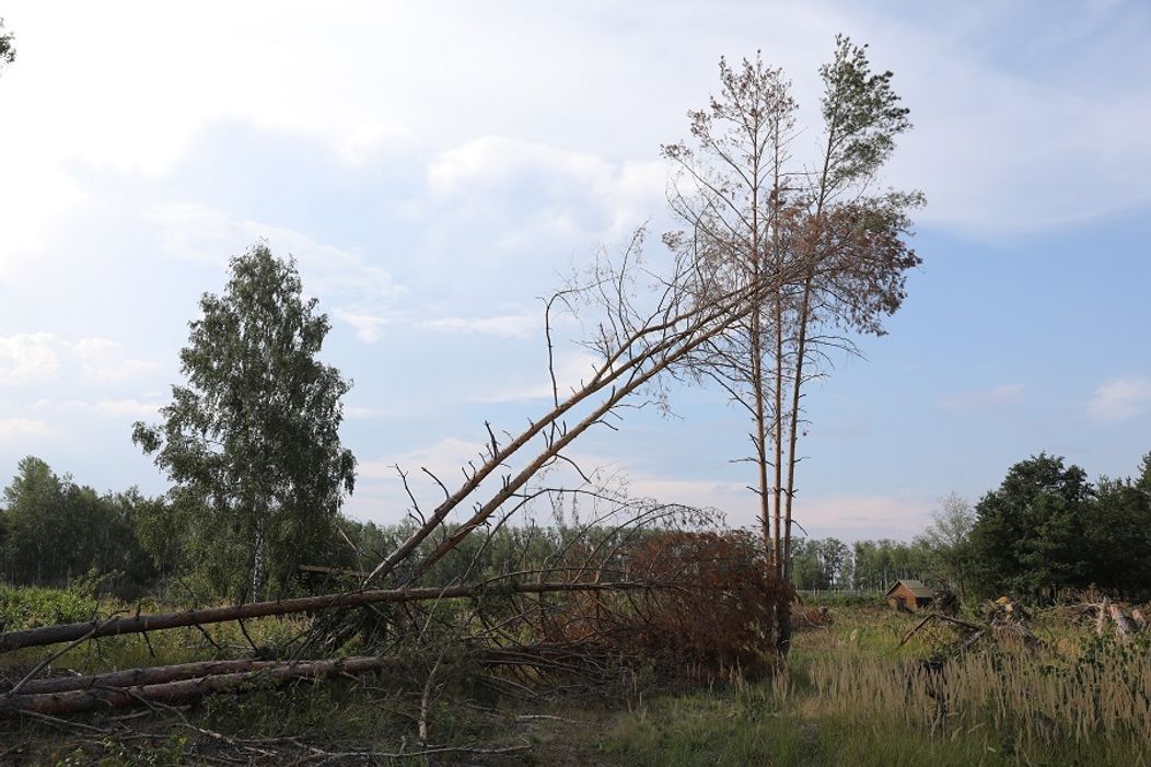 Príroda na Farme je skutočne nespútaná