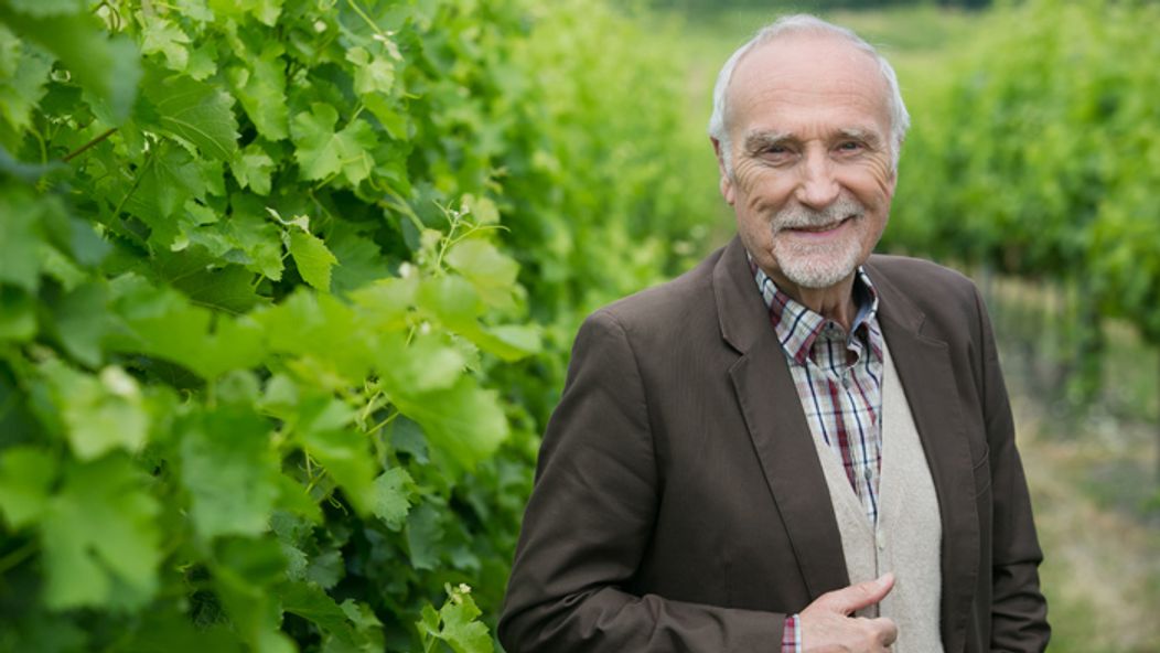 Ivan Letko v Búrlivom víne