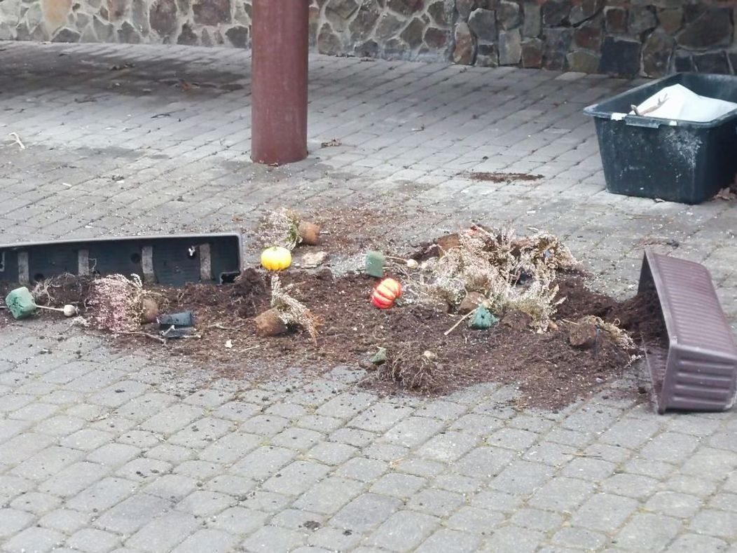 Škody pri hoteli Tulipán