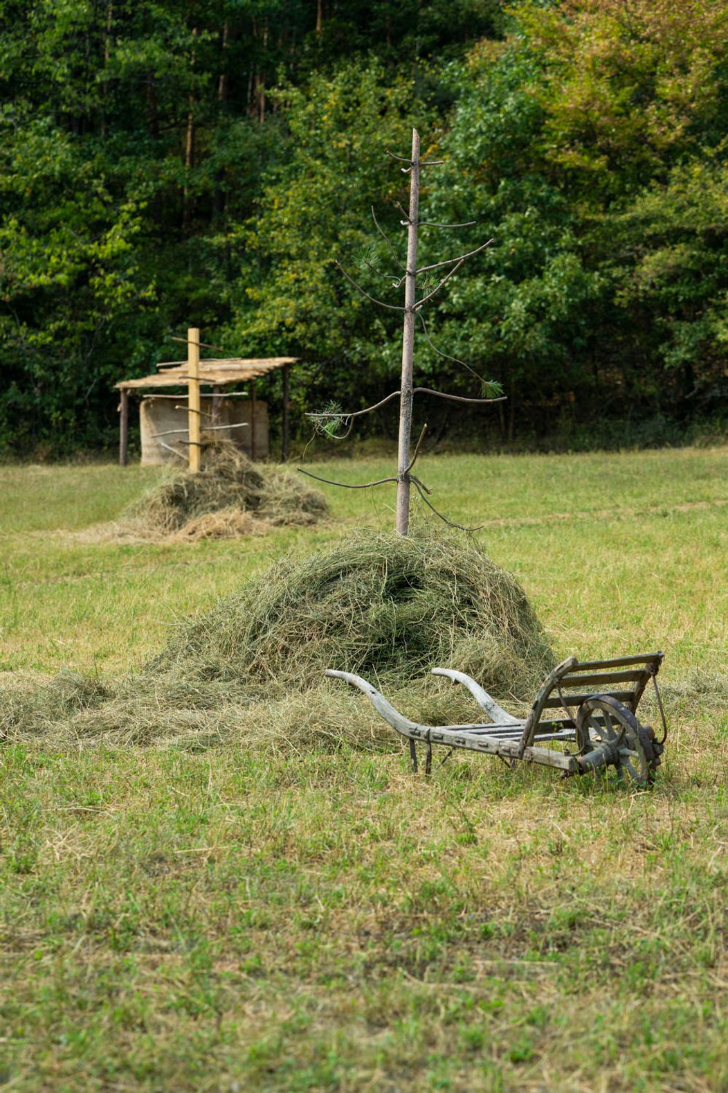 24. deň na Farme - Návšteva Igora Rattaja, dramatický súboj o diamant