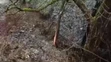 Na Beňovolehotskom potoku vyhlásili tretí povodňový stupeň.