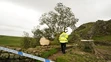 udia sa pozerajú na takmer 200-ročný javor horský, ktorý zoťal 16-ročný mladík na mieste zvanom Sycamore Gap.