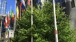 Slovenskí europoslanci na plote