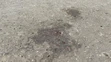 Trojročný chlapec vypadol z okna bytovky v Novom Meste nad Váhom.