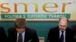 Sociálnodemokratická strana Slovenska (SDSS) ukončila k 1. januáru 2005 svoju činnosť a formálne sa začlenila do strany Smer, ktorej názov sa zmenil na Smer - sociálna demokracia.