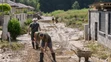Situácia na ulici Nad Hrabinou v mestskej časti Kynek.