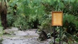 Zasiahnutá Bratislavská ZOO