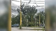 Spadnutý strom potrhal elektrické vedenie.