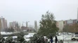 Bratislava - Dúbravka