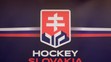 Nové logo slovenského hokeja.