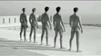 The Warwick Rowers Calendar