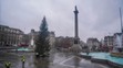 Vianočný strom na Trafalgarskom námestí.