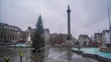 Vianočný strom na Trafalgarskom námestí.