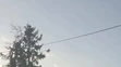 Spadnutý strom po smršti v obci Lekárovce.